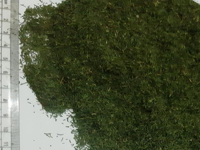 Dill