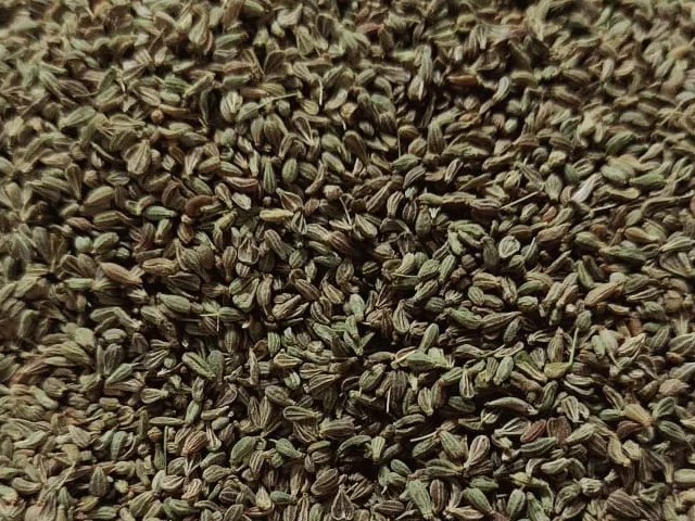 Anise